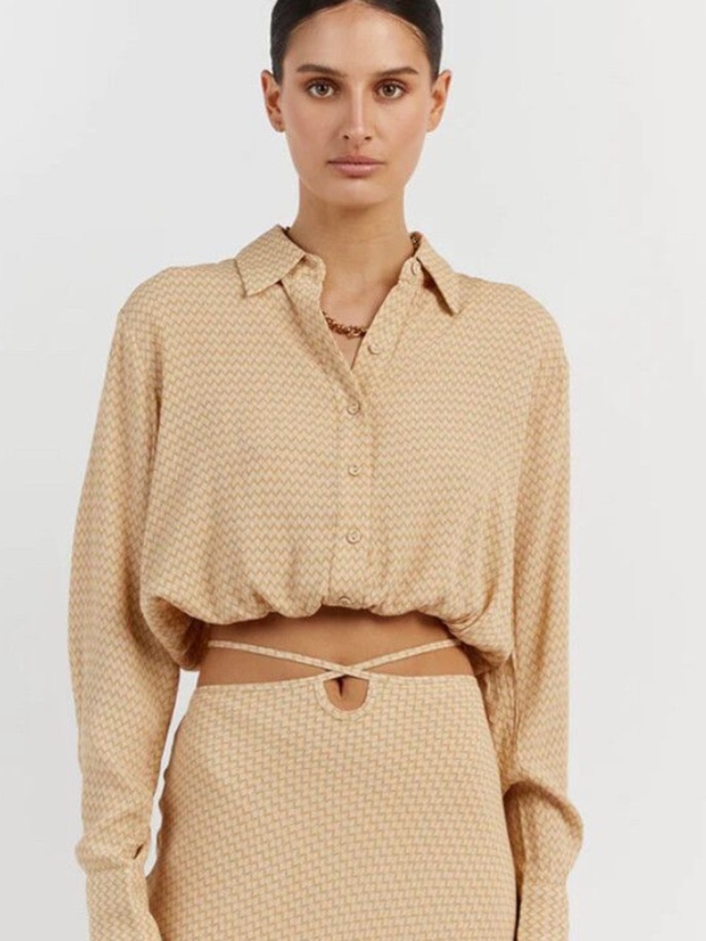 NWT DISSH JULIEN STRAW GEO CROP SLEEVED Size 6